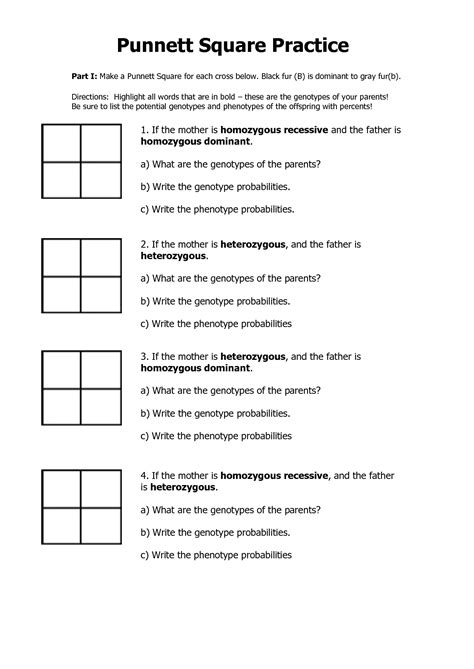 punnett square practice problems worksheet answers quizlet